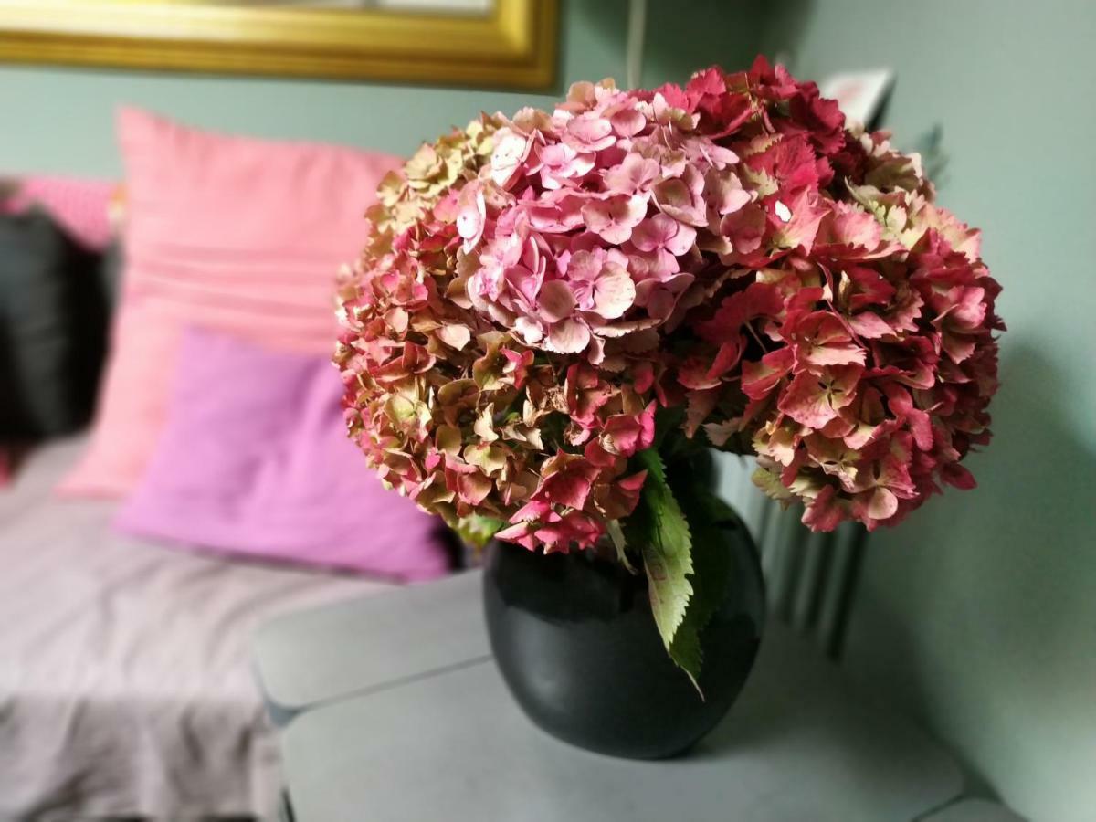 Chez Anne Apartment Fecamp Ngoại thất bức ảnh